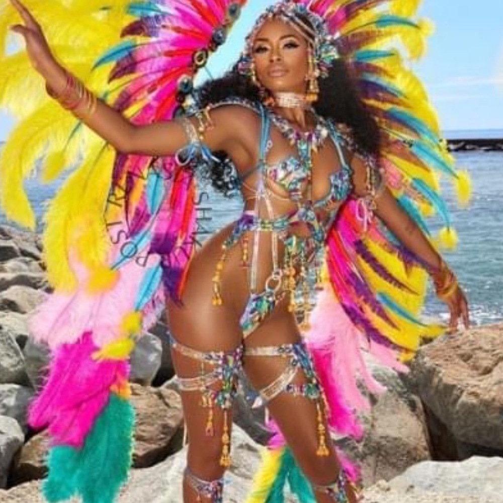 Vibrant Carnival Feather Costume